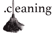 cleaning domain extension logo