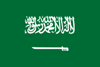 sa_com domain extension logo