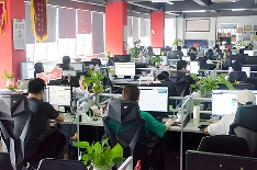 NiceNIC Team - Domain Kanzler Office