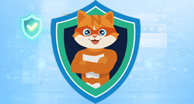 Sichere SSL-Zertifikate - Website Encryption Protection